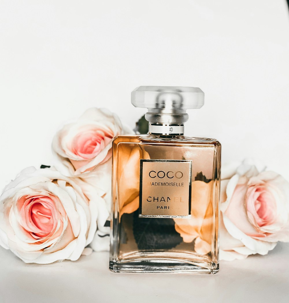 Premium Parfum Kutusu